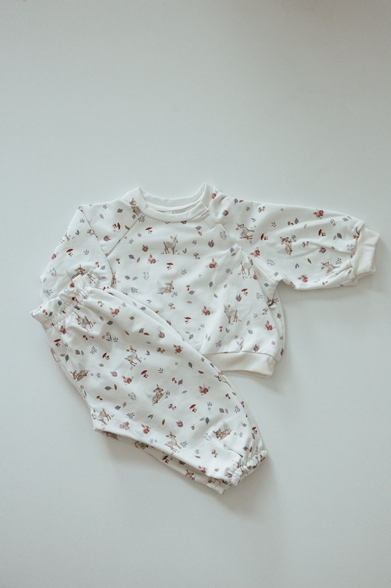 Conjunto de Jogging