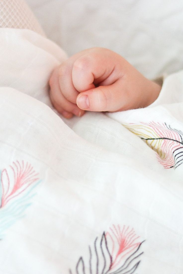 Swaddles